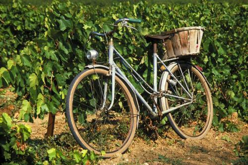 La Maison Grenadine Pres Du Canal Du Midi Tourouzelle Exteriér fotografie