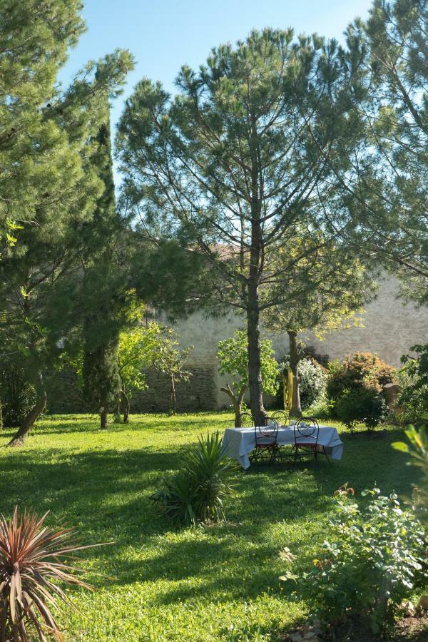La Maison Grenadine Pres Du Canal Du Midi Tourouzelle Exteriér fotografie
